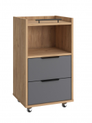 Тумба К-30 дуб крафт золотой/графит