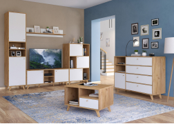 Гарнитур для гостиной Ирма ИР-001