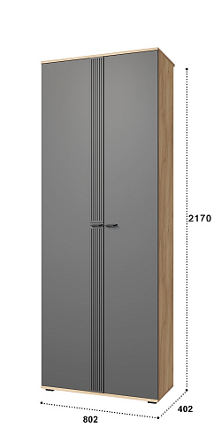 Шкаф для одежды Эмилия ЭЛ-13К глухой дуб крафт золотой/графит