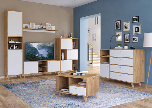 Гарнитур для гостиной Ирма ИР-001