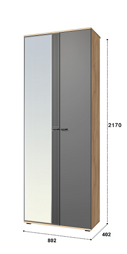 Шкаф для одежды Эмилия ЭЛ-13К комбинированный дуб крафт золотой/графит