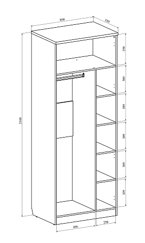 Шкаф для одежды Виктория ВИ-11 северное дерево светлое
