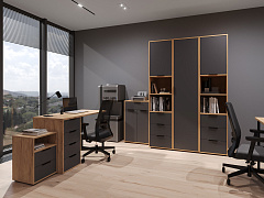 Пенал Оптима ОП-03 дуб крафт золотой/графит