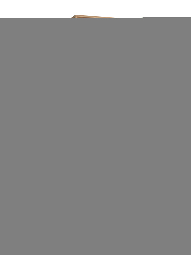 Пенал с зеркалом Оптима ОП-27 дуб крафт золотой/графит