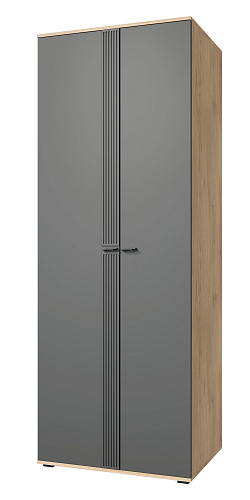 Шкаф для одежды Эмилия ЭЛ-16К глухой дуб крафт золотой/графит