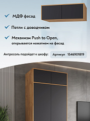 Шкаф с антресолью Оптима ОП-123 дуб крафт золотой/графит